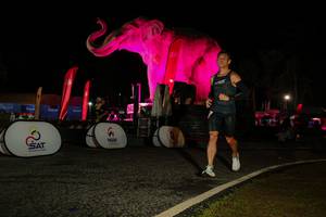 BIB: 
                            <button type="button" onclick="openModal(26534418)" class="btn btn-primary btn-sm float-right btn-popup" data-toggle="modal" data-target=".modal-high-quality">
                        <i class="fas fa-shopping-cart"></i> Add to Cart
                    </button>
                                            <button type="button" onclick="isThisMe(26534418, true)" class="btn btn-success btn-sm float-right btn-popup btn-isme hidden" data-toggle="tooltip" data-placement="bottom" title="นี่คือรูปของคุณใช่ไหม คลิกที่นี่เพื่อเอาเข้าอัลบั้ม">
                        <i class="fas fa-plus"></i> Add to album
                    </button>
                    <button type="button" onclick="isThisMe(26534418, false)" class="btn btn-warning btn-sm float-right btn-popup btn-isnotme hidden">
                        <i class="fas fa-ban"></i> Remove from album
                    </button>